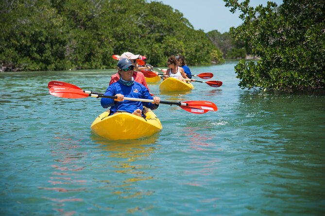 Key West Schooner Backcountry Eco Tour Sail Snorkel and Kayak - The Experience of Sailing with Key West Schooners