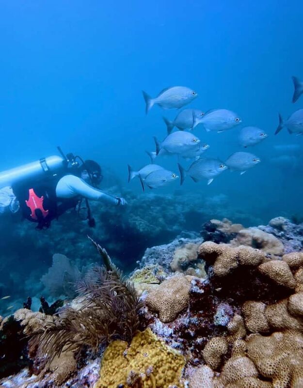 Key West: Scuba Diving Refresher Course - Starting in Old Town Key West at 606 Front St