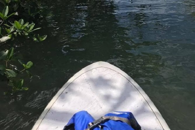 Key West Stand Up Paddleboard Rental - Key Points