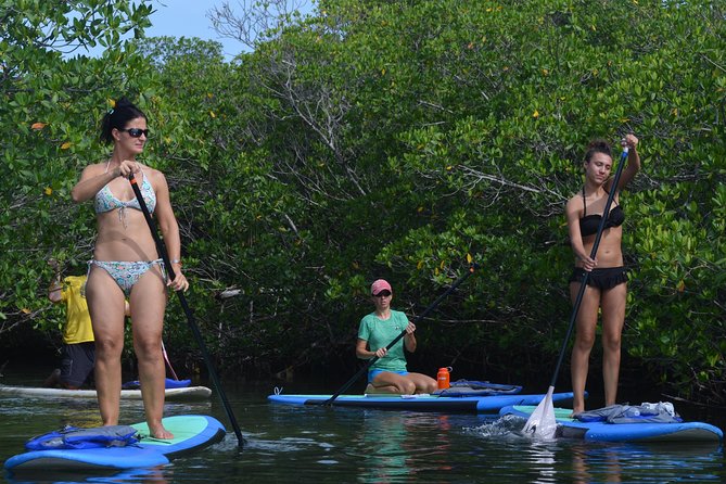 Key West Stand Up Paddleboard Rental - The 2-Hour Paddleboard Experience in Key West