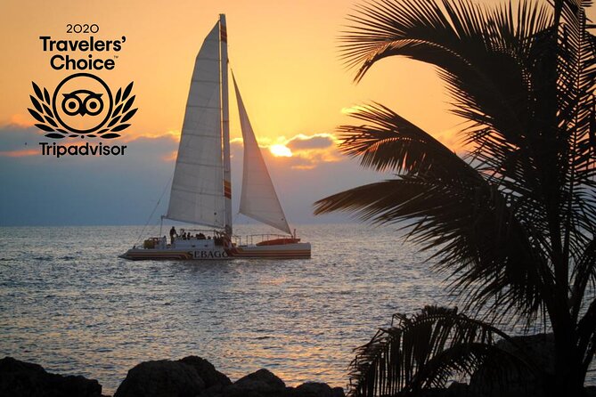 Key West Sunset Sail: Dolphin Watching, Wine, and Tapas - Logistics and Booking Tips