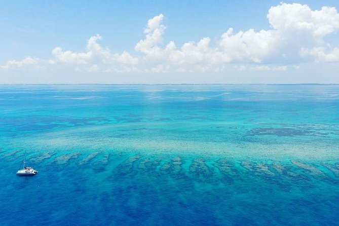 Key West Sunset Snorkel with Unlimited Draft Beer & Wine - Considerations and Tips for Booking