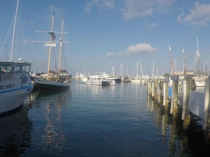 Key West Tour and Coral Reef Snorkeling with Open Bar - Free Time to Explore Key West’s Laid-back Charm