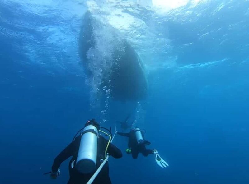 Key West: Vandenberg Wreck Dive - Key Points
