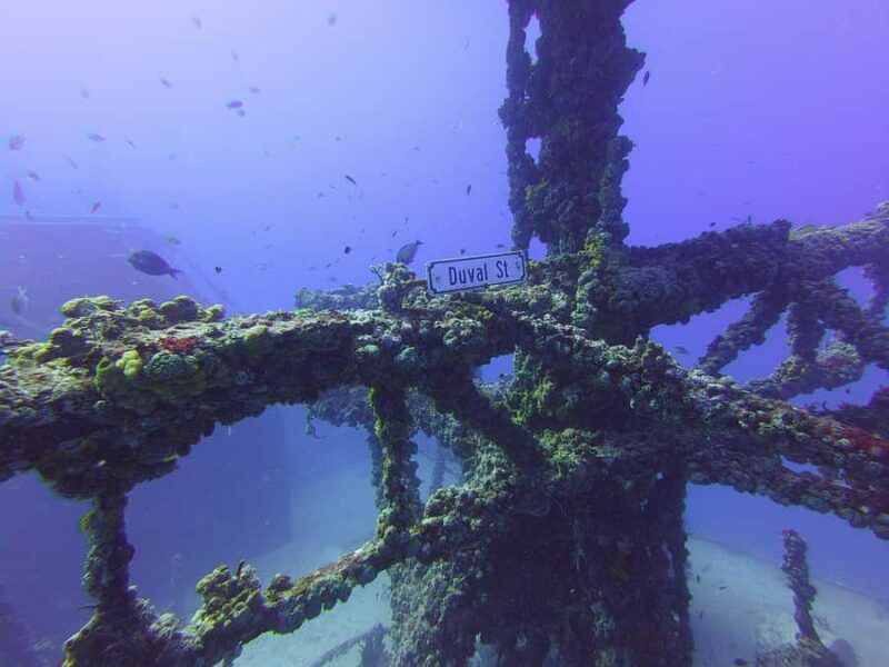 Key West: Vandenberg Wreck Dive - Frequently Asked Questions