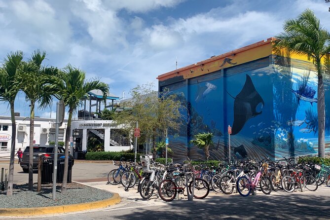 Key West Waterfront Cocktail Walk to Mallory Squares Sunset Celebration! - Discover Key West’s Waterfront and Sunset on the Cocktail Walk