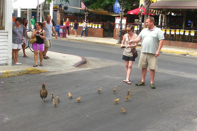 Key Wests Old Town Treasures: A Self-Guided Audio Tour - Final Words on Key West’s Old Town Treasures Tour