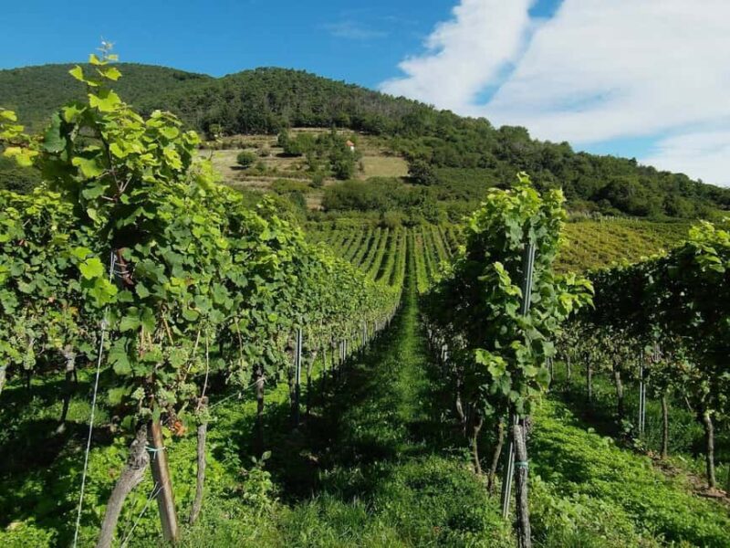 Khor Virap and Noravank Monasteries Tour - Key Points