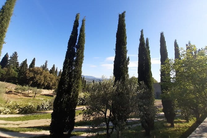 Kickbike Adventure through Florence with locals - Overall Value and Suitability for Visitors