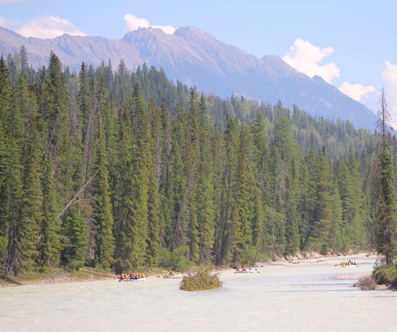 Kicking Horse River: Half-Day Intro to Whitewater Rafting - The Scenic Beauty Along the River