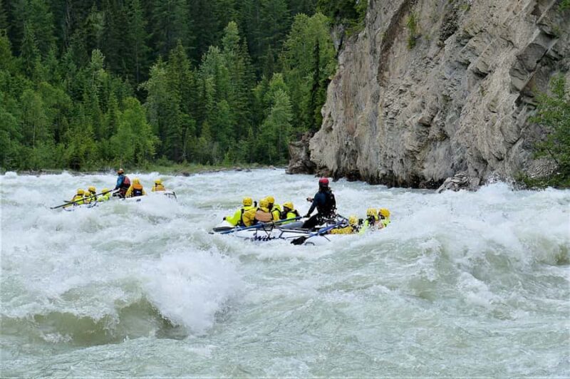 Kicking Horse River: Rafting Trip with BBQ - The Quality of the Gear and Guides