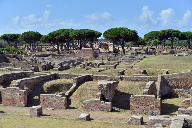 Kid-Friendly Ancient Ostia Tour with Hotel Pickup & Skip-the-line Tickets - Logistics and Comfort of the Private Tour