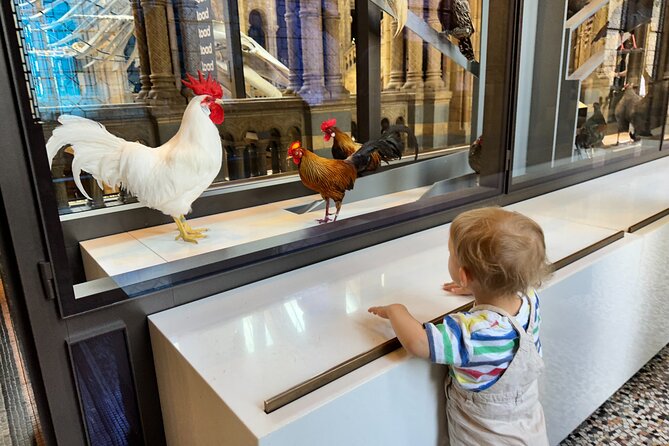 Kid-Friendly Natural History Museum & Dinosaurs Private Guided Tour in London - Expert Guides and Excellent Reviews
