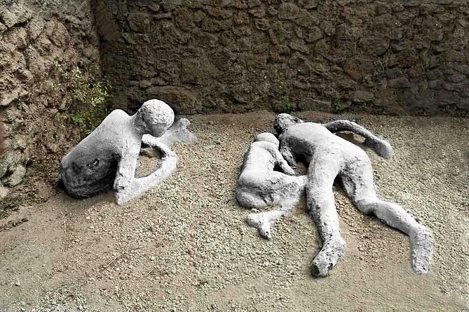 Kids and Family Friendly Pompeii Tour - Key Points
