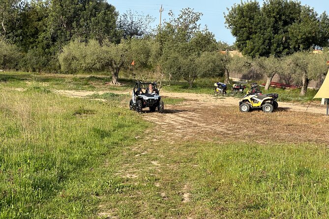 Kids Buggy Experience in Salou - Kids Buggy Experience in Salou: A Fun and Safe Adventure for Children