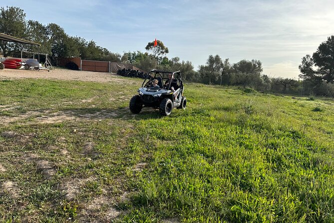 Kids Buggy Experience in Salou - Driving with a Real Gasoline Engine