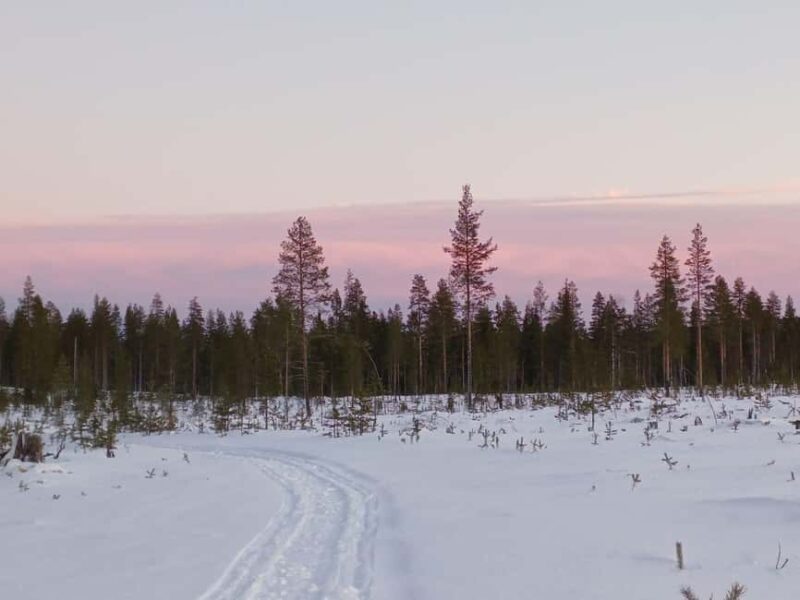 Kierinki Village: Snowmobile Sleigh Ride with Guide - The Stops and Sensations During the Ride
