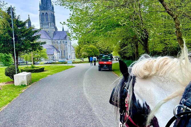 Killarney Jaunting Car Tour - Convenient Meeting Point at Deenagh Lodge