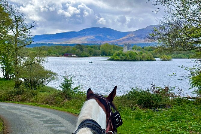 Killarney Jaunting Car Tour - Booking and Cancellation Policies