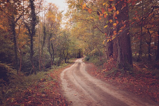Killarney Luxury: Exclusive National Park Adventure - Visiting Killarney House Gardens for Scenic Relaxation