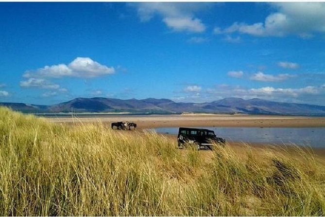 Killarney National Park Horseback Ride. Co Kerry. Guided. 1 hour. - How the Tour Stands Out from Similar Experiences