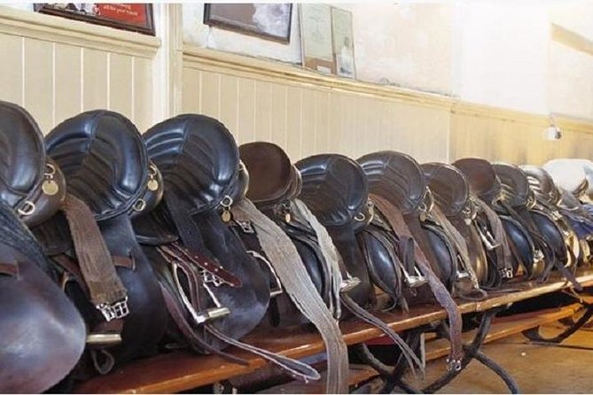 Killarney National Park Horseback Ride. Co Kerry. Guided. 1 hour. - Who Would Enjoy This Horseback Ride Most