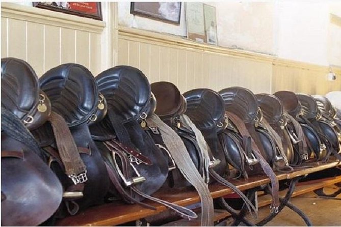 Killarney National Park Horseback Ride. Co Kerry. Guided. 2 hours. - Key Points