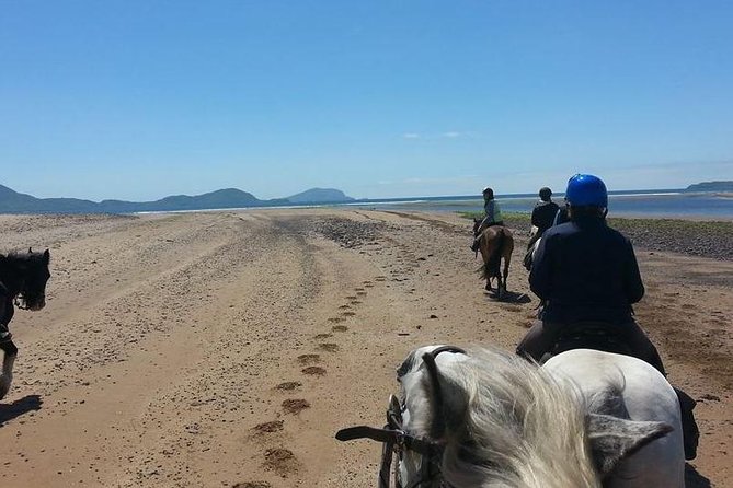 Killarney National Park Horseback Ride. Co Kerry. Guided. 2 hours. - The Experience of Riding in Ireland’s First National Park