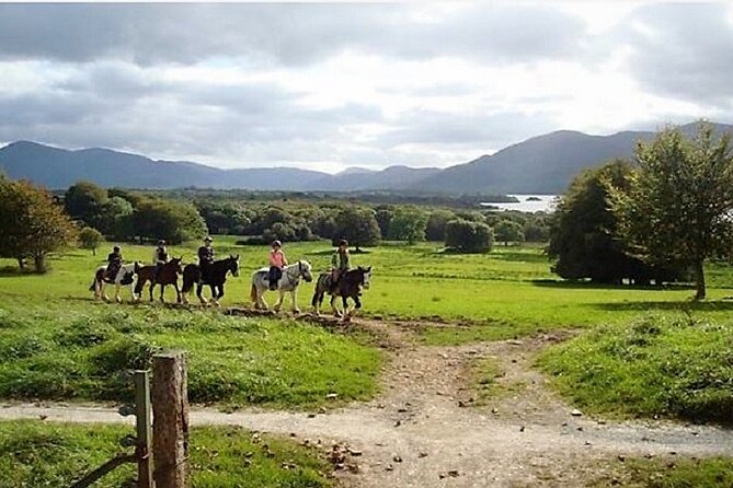 Killarney National Park Horseback Ride. Co Kerry. Guided. 3 hours. - Horses and Riding Equipment
