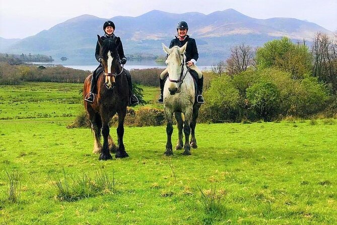 Killarney National Park Horseback Ride. Co Kerry. Guided. 3 hours. - Suitable for a Range of Riders
