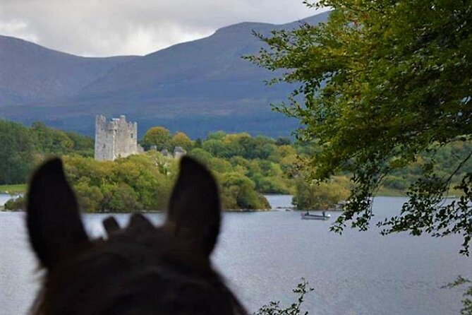 Killarney National Park Horseback Ride. Co Kerry. Guided. 3 hours. - Logistics and Meeting Arrangements