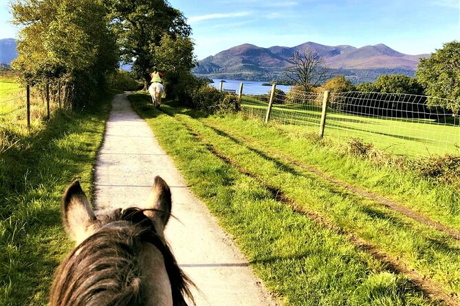 Killarney National Park Horseback Ride. Co Kerry. Guided. 3 hours. - What’s Included and What to Bring