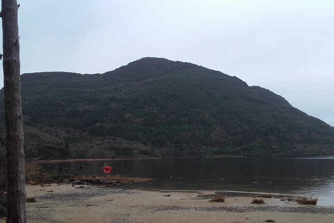 Killarney Valley & National Park - Private Tour - Ladies View for Stunning Panorama