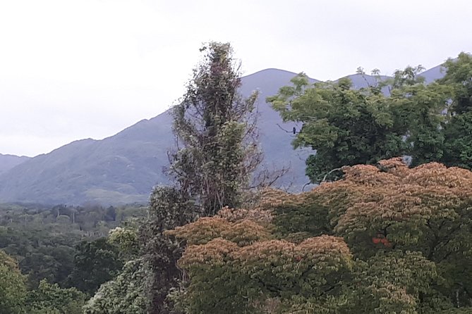 Killarney Valley & National Park - Private Tour - Discovering Killarney National Park’s Ecological Treasures