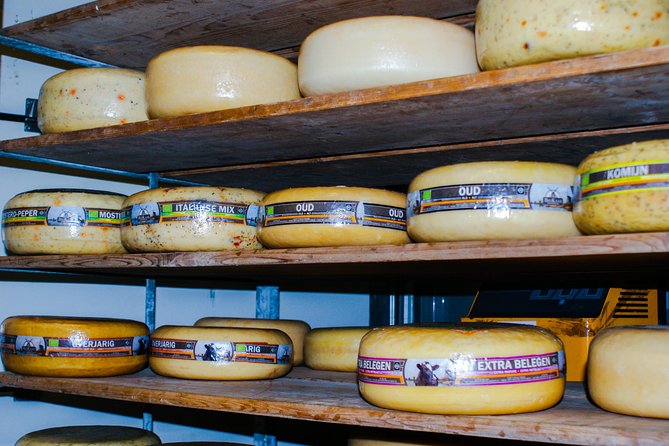 Kinderdijk Area Cycling Tour - Key Points