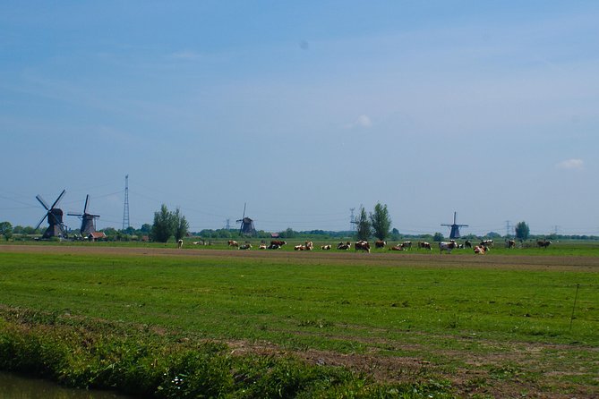 Kinderdijk Area Cycling Tour - Coffee Break and Snacks in the Fields