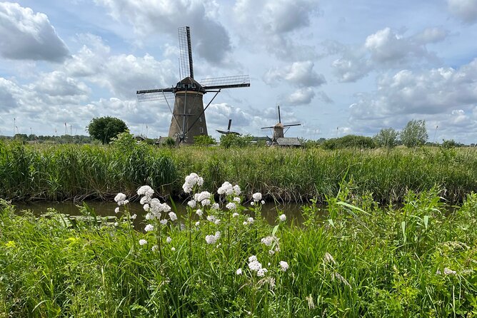 Kinderdijk Windmills, Delft City & Delft Blue Factory Visit - The UNESCO-Listed Kinderdijk Windmills and Their Historic Significance