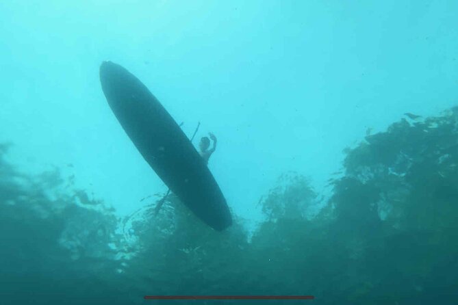 King Spring Sunset Sit on Top Kayak with Manatees Tour - Manatee Safety and Etiquette Briefing