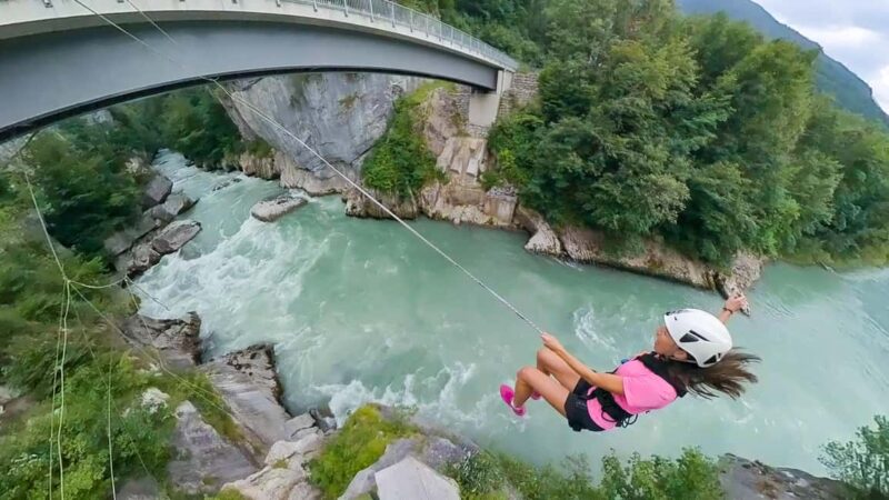 King swing 'I've got a scream' - Key Points