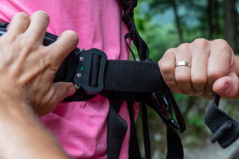 King swing 'I've got a scream' - The Unique Location of the King Swing Ive Got a Scream in Upper Austria