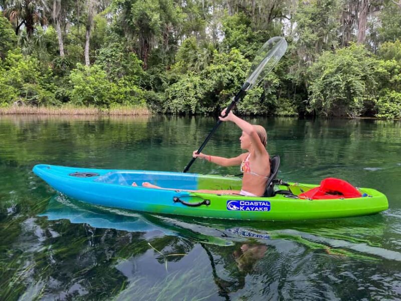 Kings Bay, Crystal River: Gentle Sunrise Manatee Kayak Tour - Key Points