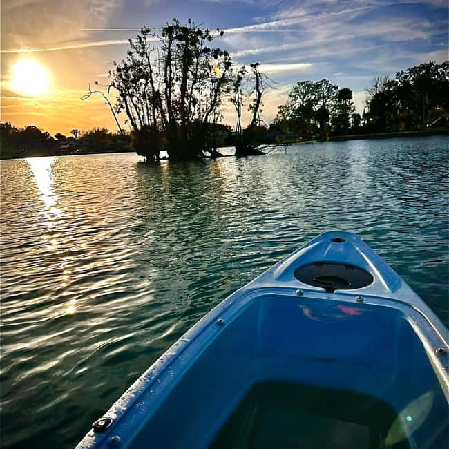 Kings Bay, Crystal River: Gentle Sunrise Manatee Kayak Tour - The Calm of Kings Bay at Sunrise