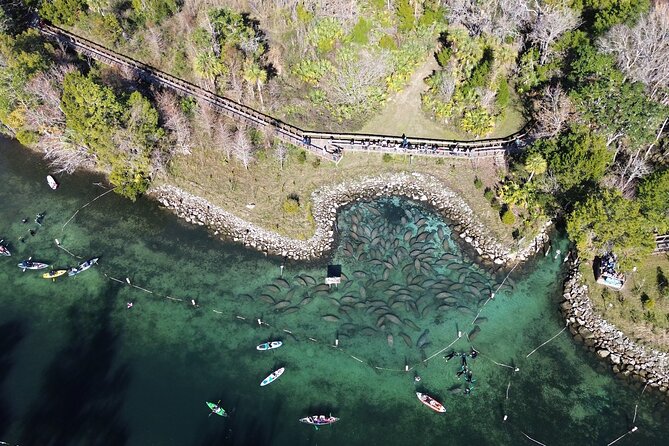 Kings Bay Eco Tours - What Makes Kings Bay Eco Tours Stand Out