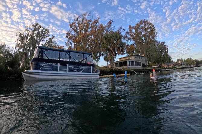 Kings Bay Manatee Watching Cruise - The Experience on the Water: Seeing Manatees and More