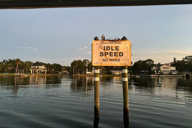 Kings Bay Manatee Watching Cruise - Accessibility and Booking Flexibility
