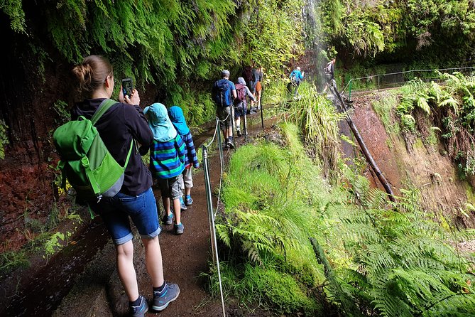 Kings Levada - São Jorge - Who Will Enjoy This Tour the Most?