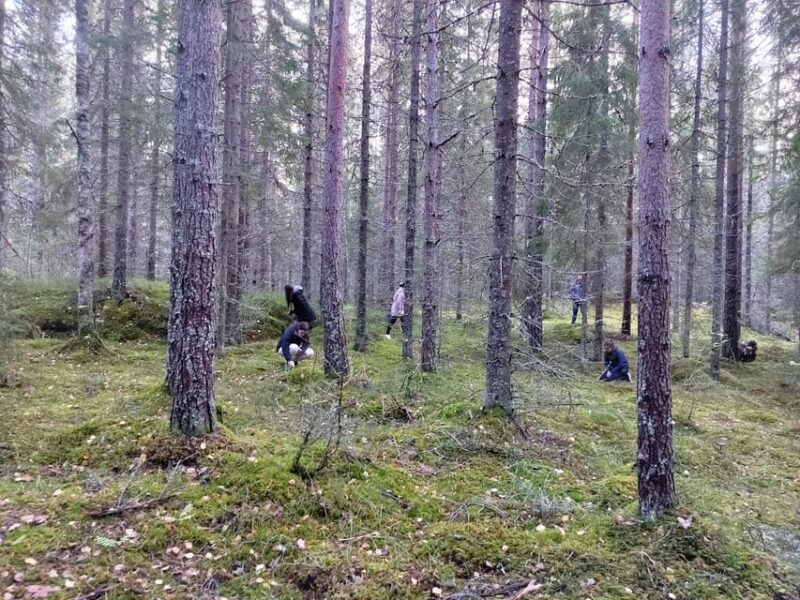 Kintulammi Nature Experience (Nature reserve near Tampere) - Key Points