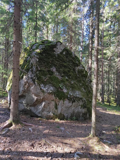 Kintulammi Nature Experience (Nature reserve near Tampere) - Tasting Doughnuts and Finnish Food Traditions