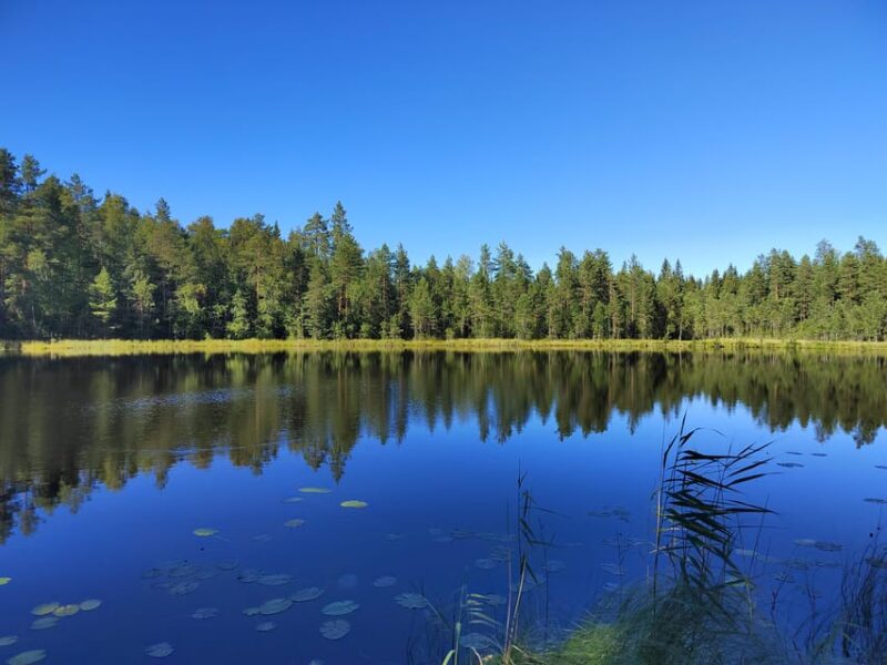 Kintulammi Nature Experience (Nature reserve near Tampere) - Accessibility and Flexibility of the Tour