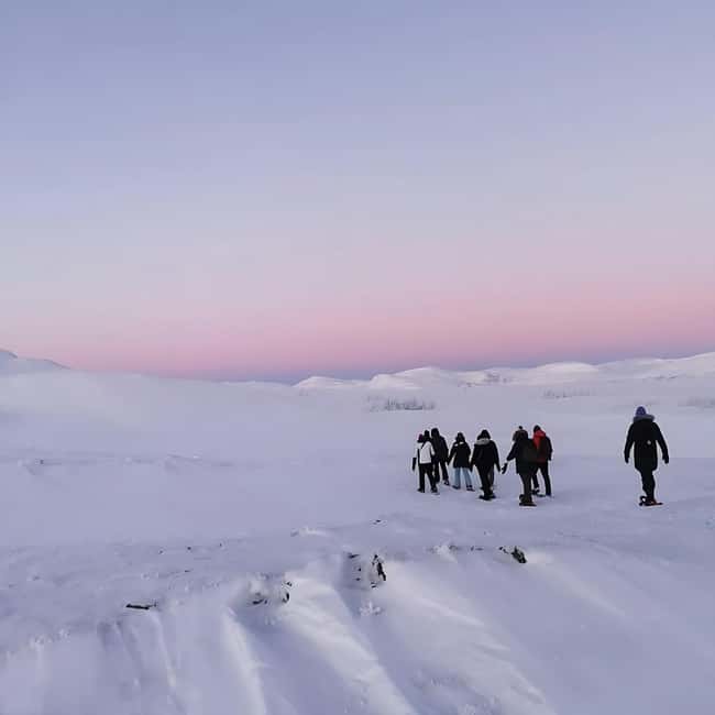 Kiruna: Abisko and Björkliden Day Trip with Lunch - Packing Tips and Practical Advice